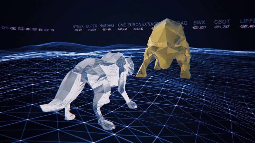 provideo-motion-design-animation-3d-graphigs-modelling-white-wolves
